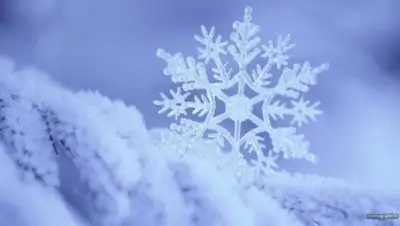 Zakon.kz, фото - Новости Zakon.kz от 04.12.2015 12:00