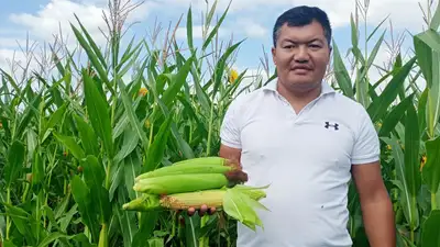 Особенности национального фермерства: летние пожары, медаль МЧС и ставка на подсолнечник, фото - Новости Zakon.kz от 21.08.2023 15:30