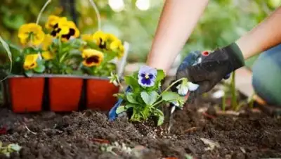 Юго-Восточный Курьер, фото - Новости Zakon.kz от 23.05.2018 06:26