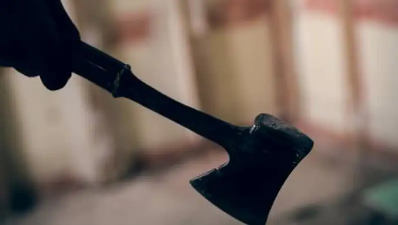 Зарубил топором родителей и сестру: 16-летний подросток не хотел ходить в школу