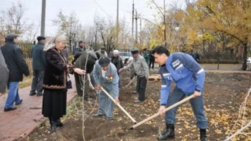 В Уральске высадили 5 тысяч деревьев