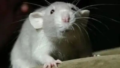 Zakon.kz, фото - Новости Zakon.kz от 12.06.2014 22:57