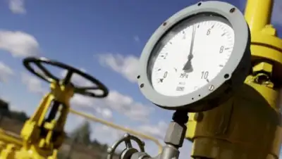 Zakon.kz, фото - Новости Zakon.kz от 03.04.2017 16:55