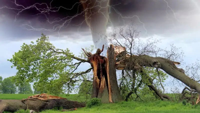 Ураган в Акмолинской области бушевал всю ночь