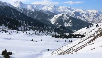 yvision.kz, фото - Новости Zakon.kz от 03.03.2021 17:05