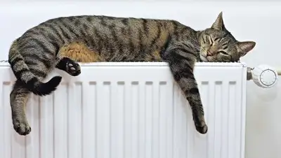 Zakon.kz, фото - Новости Zakon.kz от 24.09.2017 10:51