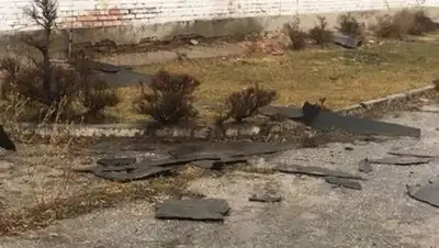 ДЧС ВКО, фото - Новости Zakon.kz от 09.11.2020 14:06