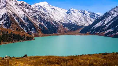 zaleskiy.com, фото - Новости Zakon.kz от 06.02.2020 10:25