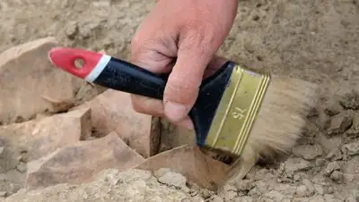 Zakon.kz, фото - Новости Zakon.kz от 04.07.2017 15:15