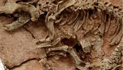 Zakon.kz, фото - Новости Zakon.kz от 20.02.2015 02:33