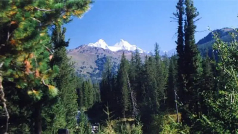 ВКО: 2,3 млрд. тенге инвестиций привлечено в Катон-Карагайский район