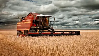 "ESSIL", фото - Новости Zakon.kz от 08.09.2020 13:18