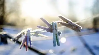 Pixabay, фото - Новости Zakon.kz от 15.02.2021 11:32