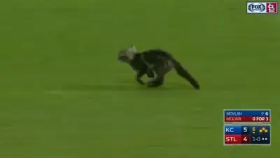 Zakon.kz, фото - Новости Zakon.kz от 11.08.2017 05:37