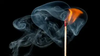 CC0 Public Domain, фото - Новости Zakon.kz от 29.01.2019 21:12