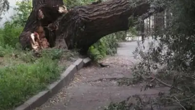 Zakon.kz, фото - Новости Zakon.kz от 06.06.2016 16:41