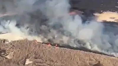 Вертолет задействовали для выявления очагов пожара на побережье Каспийского моря, фото - Новости Zakon.kz от 31.01.2023 19:06