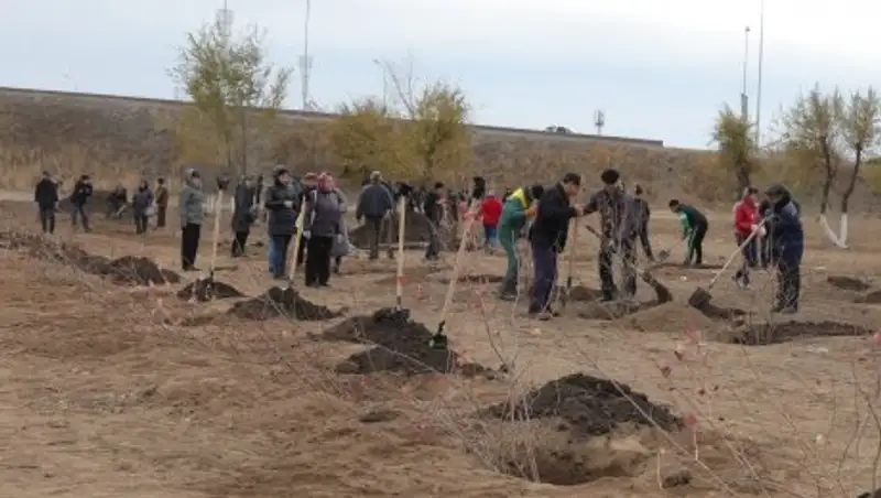 Жители Актобе и работники иностранных компаний высадили 10  тысяч деревьев