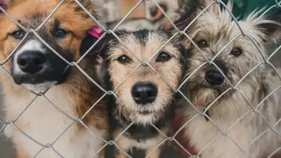 Openbusiness.ru, фото - Новости Zakon.kz от 29.04.2021 00:32