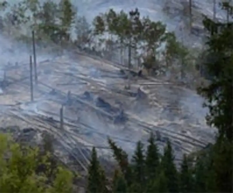 Ликвидацию последствий ветровала и пожара в урочище "Медео" планируется завершить к марту следующего года, фото - Новости Zakon.kz от 29.10.2012 22:30