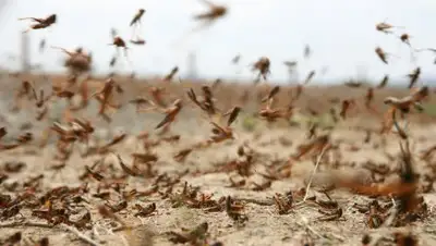Zakon.kz, фото - Новости Zakon.kz от 15.07.2016 17:47