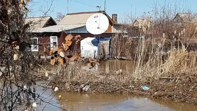 Костанай ТВ, фото - Новости Zakon.kz от 05.12.2018 01:06