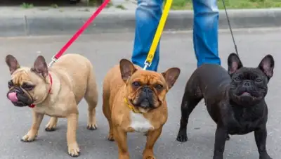 Zakon.kz, фото - Новости Zakon.kz от 18.03.2016 23:41