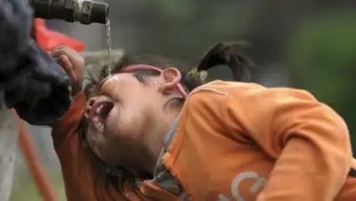 Zakon.kz, фото - Новости Zakon.kz от 11.08.2015 20:56