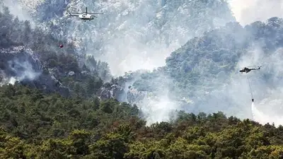 Пожары в Кемере: ни один турист или туробъект не пострадал, фото - Новости Zakon.kz от 29.07.2023 03:20