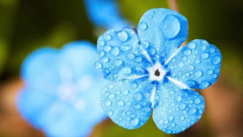 Дождливая погода сохранится на большей части Казахстана в четверг