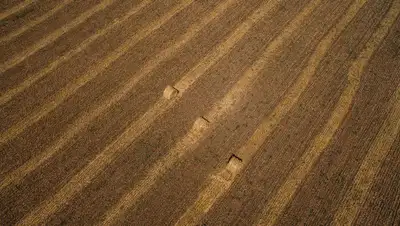 земельная комиссия, публикации, решения , фото - Новости Zakon.kz от 14.12.2021 12:42