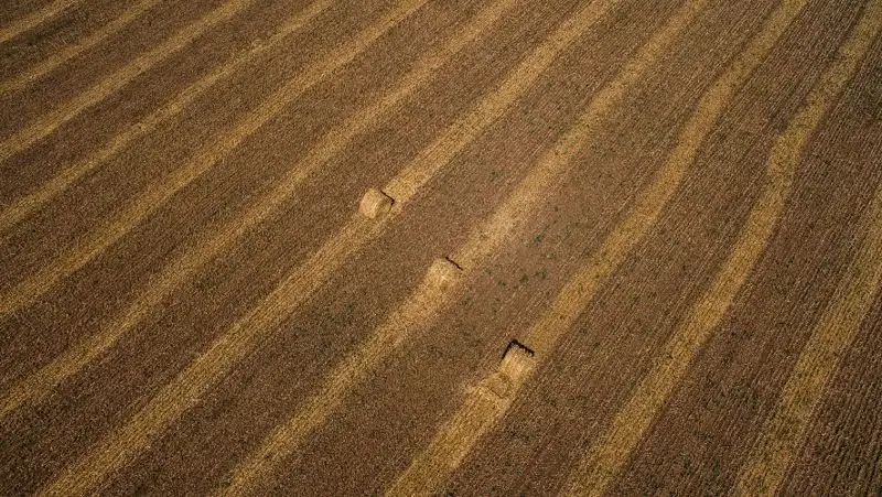 Решения Земельной комиссии будут публиковаться в интернете с 1 января