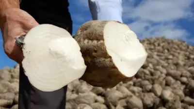 Zakon.kz, фото - Новости Zakon.kz от 11.11.2014 14:53