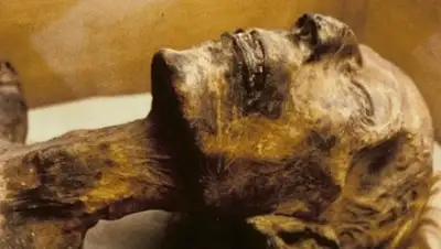 Zakon.kz, фото - Новости Zakon.kz от 20.10.2017 15:54