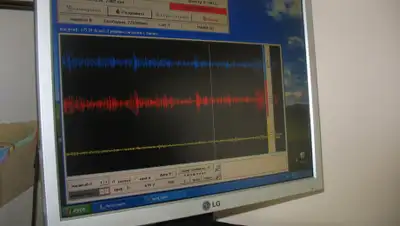 nature.baikal.ru, фото - Новости Zakon.kz от 13.11.2019 21:57