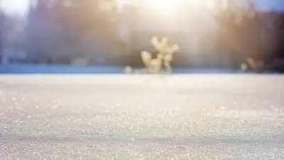 погода, прогноз, температура, фото - Новости Zakon.kz от 29.11.2021 15:15