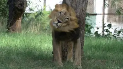 Zakon.kz, фото - Новости Zakon.kz от 12.05.2015 04:14