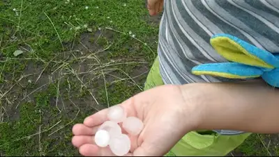 Zakon.kz, фото - Новости Zakon.kz от 07.07.2015 16:13