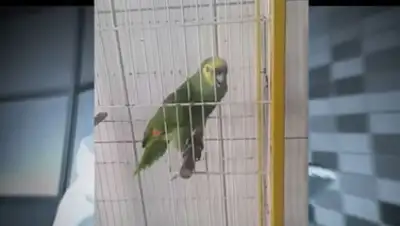 Zakon.kz, фото - Новости Zakon.kz от 22.02.2017 22:04