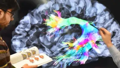 Фото: Waltraud Grubitzsch / DPA / Globallookpress.com, фото - Новости Zakon.kz от 29.12.2017 09:12