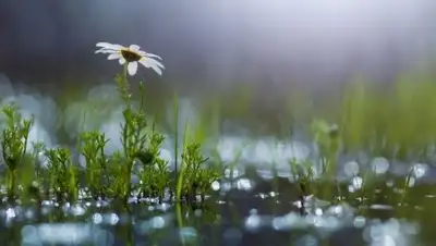 Zakon.kz, фото - Новости Zakon.kz от 25.08.2017 06:00