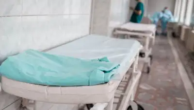 rus.azattyq-ruhy.kz, фото - Новости Zakon.kz от 03.06.2020 09:29