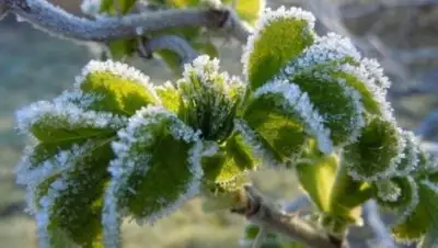 24.kz, фото - Новости Zakon.kz от 09.04.2018 14:39