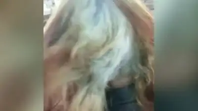 кадр из видео, фото - Новости Zakon.kz от 27.05.2021 02:01