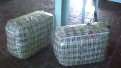 Zakon.kz, фото - Новости Zakon.kz от 23.04.2015 23:39