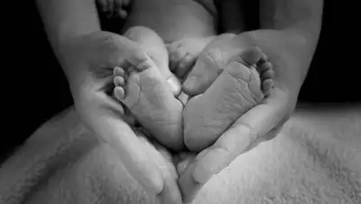 Pixabay, фото - Новости Zakon.kz от 29.01.2021 14:36