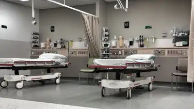 pxhere.com, фото - Новости Zakon.kz от 20.05.2020 21:05