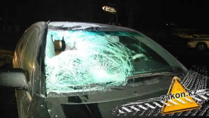 В Алматинской области водитель на Lexus сбил насмерть учителя истории