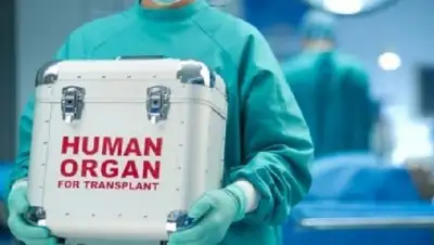 Zakon.kz, фото - Новости Zakon.kz от 06.09.2017 09:47