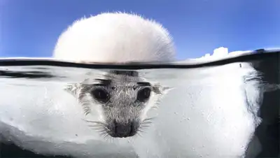 Zakon.kz, фото - Новости Zakon.kz от 02.11.2014 18:32